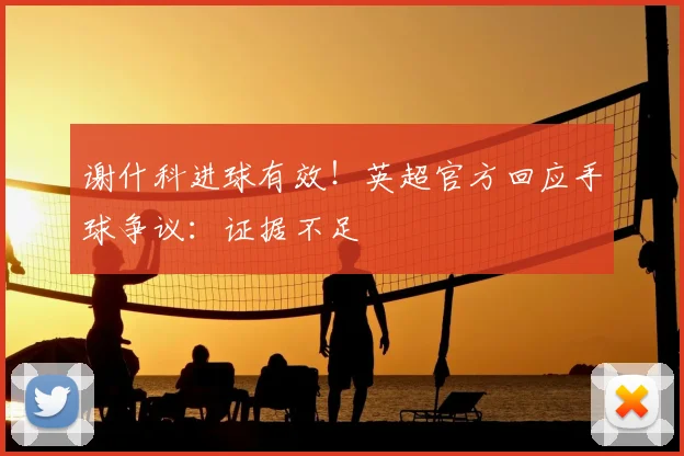 谢什科进球有效！英超官方回应手球争议：证据不足